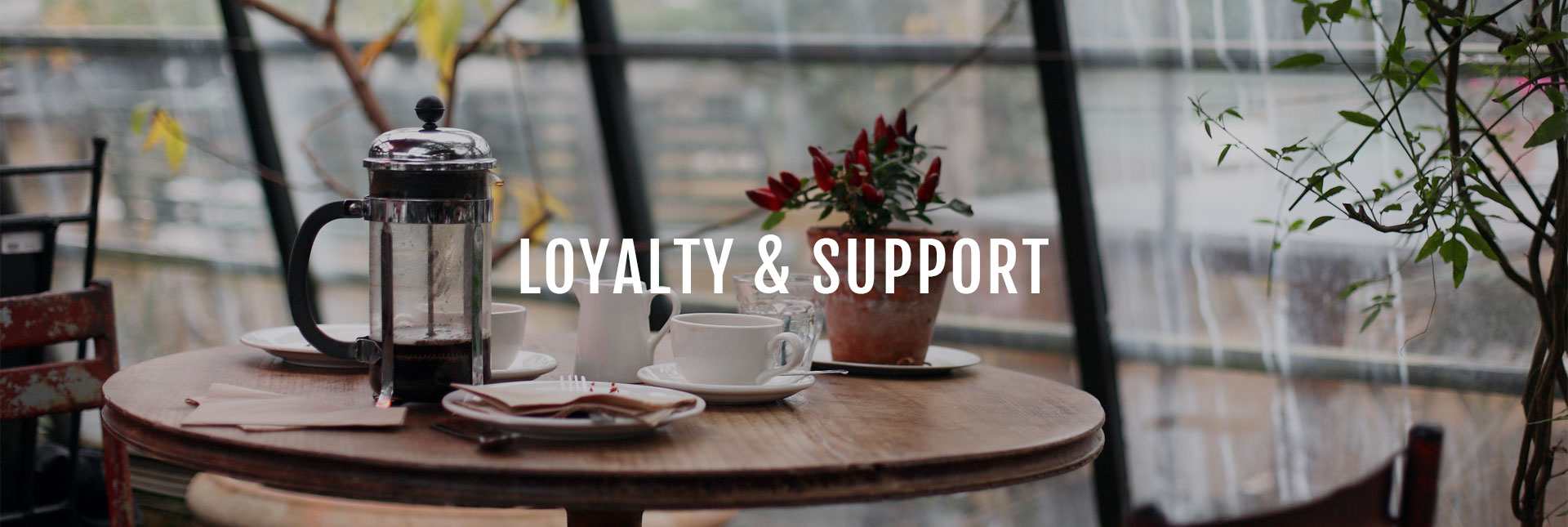 Loyalty and Support â€“ client log in 